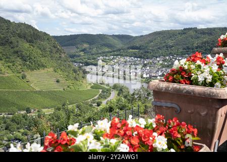 Vue sur la Moselle et Cochem depuis le château médiéval Banque D'Images