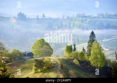 Matin serein de campagne avec brume roulant sur les douces collines. La lumière du soleil filtre à travers, soulignant la ferme confortable entourée d'arbres luxuriants. Maisons dispersées et chemins sinueux, vallées couvertes de brume. Banque D'Images