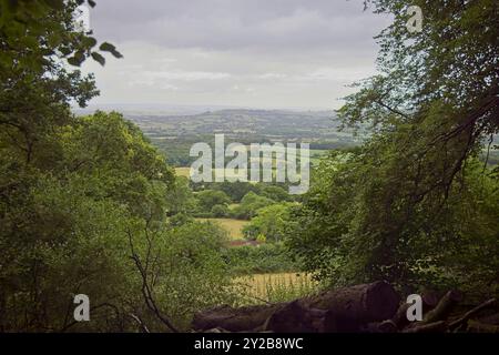 Vue sur les terres agricoles depuis le château de Coney, Dorset, Royaume-Uni. Banque D'Images