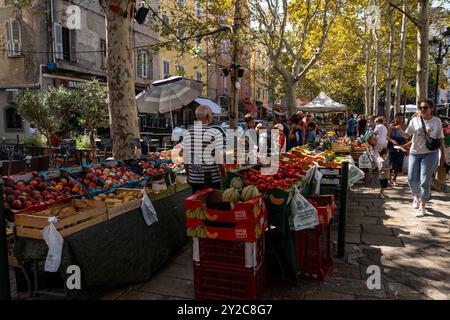 Marché, ou marché dans la Terra Vechja sur la place du marché, Bastia, Corse Banque D'Images