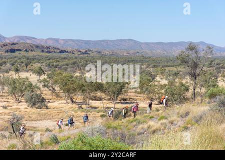 Groupe de randonnée au belvédère du Mont Sonder, Mont Zeil, parc national West MacDonnell (Tjoritja), territoire du Nord, Australie Banque D'Images