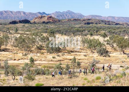 Groupe de randonnée au belvédère du Mont Sonder, Mont Zeil, parc national West MacDonnell (Tjoritja), territoire du Nord, Australie Banque D'Images