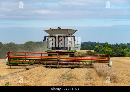 Moissonneuse-batteuse CLAAS Lexikon Otley Suffolk Banque D'Images