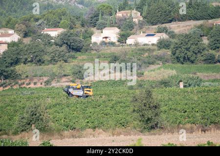 Puyloubier, France, 10 septembre 2024. Une machine à vendanger en action au milieu des vignobles pittoresques de Puyloubier, le plus grand des Bouches-du-Rhône. Nichée au cœur de la Provence, cette région est réputée pour ses vins AOC Côtes de Provence Sainte-victoire. Les vendanges se poursuivent dans le sud de la France, la machine glisse à travers des rangées de vignes luxuriantes, récoltant des fruits mûrs destinés à des vins de classe mondiale. Crédit : David GABIS/Alamy Live News Banque D'Images
