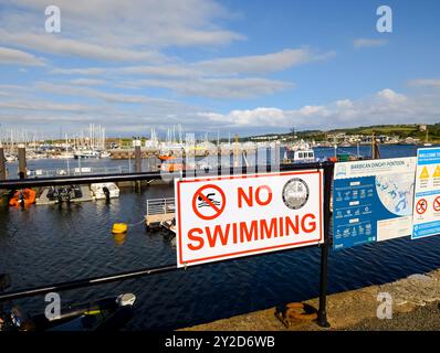 Pas de natation affiché bien en vue sur les rampes noires, et d'autres panneaux au Barbican Dingy Pontoon, Plymouth, Devon. Banque D'Images