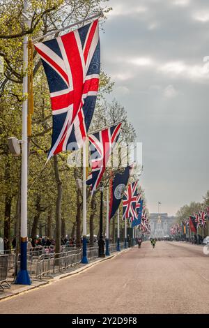 Drapeaux de l'Union pour le couronnement, The Mall, Londres, Angleterre, Royaume-Uni Banque D'Images