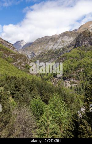 Vallée boisée verdoyante entourée de montagnes imposantes sous un ciel lumineux et partiellement nuageux Banque D'Images