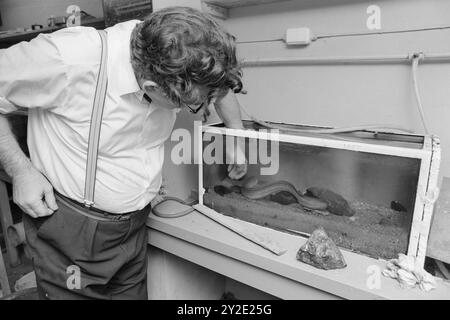 Aktuell44-4-1970 : se tromper avec les animaux. Le conférencier Per Hafslund de Drammen a commencé une nouvelle série à la télévision. Il s'agit, bien sûr, des animaux. Quoi que vous lui parliez, tôt ou tard vous finirez dans le monde animal. Mais, dit-il, ce n'est pas lui-même qui est l'expert. Hafslund transporte uniquement le matériau. Photo : Per Ervik / Aktuell / NTB ***la photo n'est pas traitée*** le texte de cette image est traduit automatiquement Banque D'Images