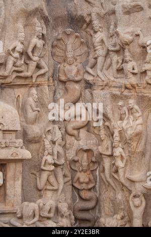 Sculpture monolithique (détail), pénitence d'Arjuna, Mahabalipuram, Tamil Nadu, Inde, Asie. Ce magnifique relief, sculpté au milieu du VIIe siècle Banque D'Images