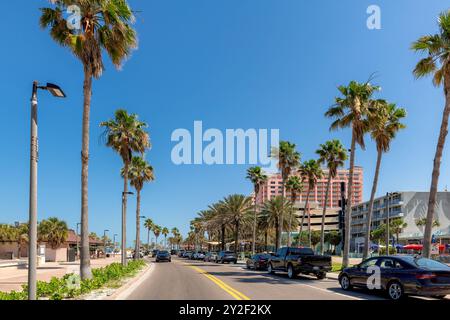 Palmiers dans la rue de plage de Clearwater dans la journée ensoleillée d'été, route panoramique à Clearwater, Floride Banque D'Images