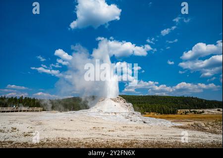 Le geyser du château du parc national de Yellowstone a fait éruption à l'automne 2024 avec de l'eau bouillante et de la vapeur projetant 75 pieds dans les airs Banque D'Images