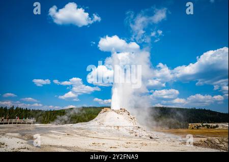 Le geyser du château du parc national de Yellowstone a fait éruption à l'automne 2024 avec de l'eau bouillante et de la vapeur projetant 75 pieds dans les airs Banque D'Images