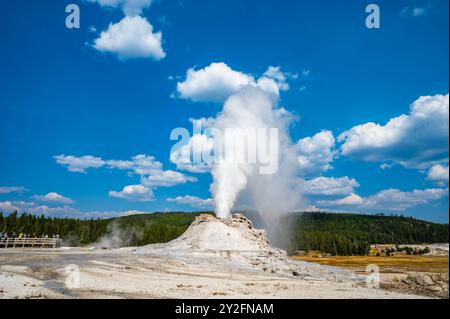 Le geyser du château du parc national de Yellowstone a fait éruption à l'automne 2024 avec de l'eau bouillante et de la vapeur projetant 75 pieds dans les airs Banque D'Images