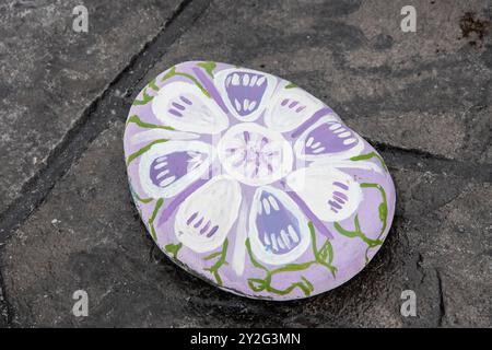 Fleur peinte sur un rocher au parc communautaire de la famille Cranford à New Harbour, Terre-Neuve-et-Labrador, Canada Banque D'Images