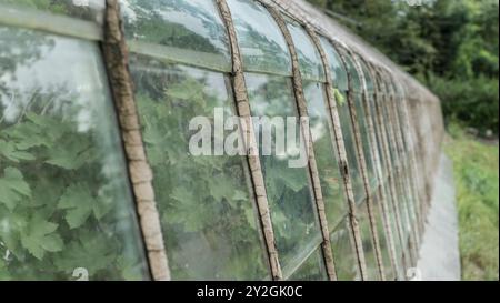 Charmante réception de mariage en serre : une célébration de campagne rustique Banque D'Images