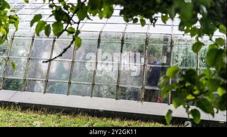 Charmante réception de mariage en serre : une célébration de campagne rustique Banque D'Images