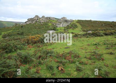 Vue de début d'automne des rochers de Bonehill, près de Widecombe, Dartmoor, Devon, Angleterre, ROYAUME-UNI Banque D'Images