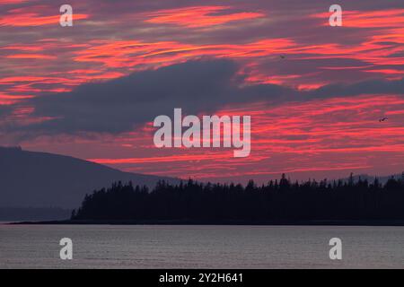 Coucher de soleil sur la forêt nationale de Tongass à Snow Pass dans le sud-est de l'Alaska, États-Unis, Océan Pacifique. Banque D'Images