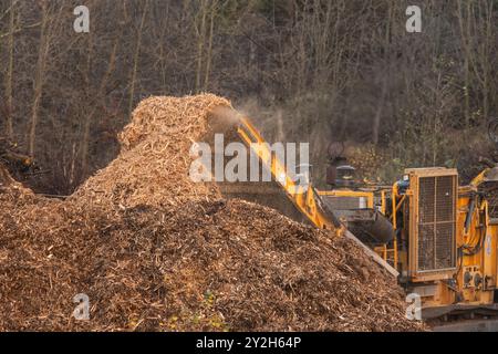 Göteborg, Suède - novembre 10 2022 : copeaux de bois déversés dans une pile par un grand broyeur de bois industriel Banque D'Images