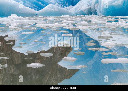 Détail de l'iceberg glaciaire reflété dans l'eau calme de la glace vêlée au large du glacier South Sawyer à Tracy Arm, États-Unis. Banque D'Images