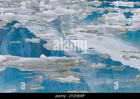 Détail de l'iceberg glaciaire reflété dans l'eau calme de la glace vêlée au large du glacier South Sawyer à Tracy Arm, États-Unis. Banque D'Images