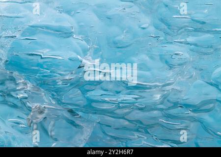 Détail de l'iceberg glaciaire provenant de la glace vêlée au large du glacier LeConte, Alaska du Sud-est, États-Unis, Océan Pacifique. Banque D'Images