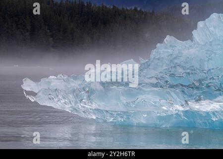 Détail de l'iceberg glaciaire provenant de la glace vêlée au large du glacier LeConte, Alaska du Sud-est, États-Unis, Océan Pacifique. Banque D'Images