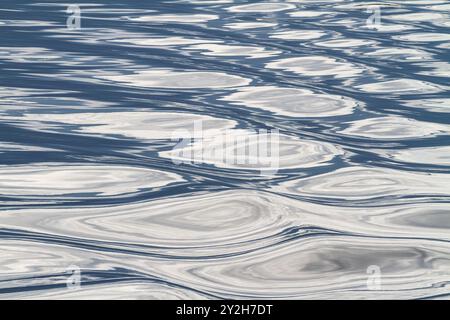 Réflexions dans le sillage de l'oiseau de mer National Geographic dans le sud-est de l'Alaska, USA. Banque D'Images