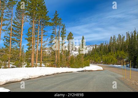 Neige le long d'une route de montagne à la fin du printemps à Yellowstone National Pakr dans le Wyoming Banque D'Images