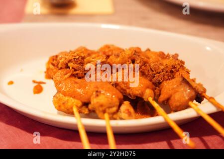 Sate ayam (poulet satay) du restaurant indonésien aux pays-Bas Banque D'Images