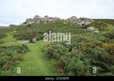 Vue de début d'automne des rochers de Bonehill, près de Widecombe, Dartmoor, Devon, Angleterre, ROYAUME-UNI Banque D'Images