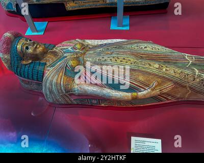 Londres, Angleterre, détail, Musée d'histoire naturelle, objets exposés à l'intérieur, Collection momies égyptiennes, civilisations anciennes Banque D'Images