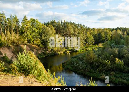 Rivière Sventoji serpentant à travers la forêt d'automne. Belle scène forestière aérienne près d'Anyksciai, Lituanie. Arbres verts et rivière le jour ensoleillé d'automne. Banque D'Images