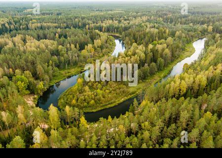 Vue aérienne de la rivière Sventoji serpentant à travers la forêt d'automne. Belle scène forestière aérienne près d'Anyksciai, Lituanie. Arbres verts et rivière sur f ensoleillé Banque D'Images