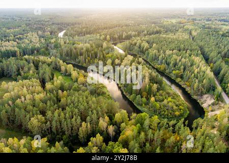 Vue aérienne de la rivière Sventoji serpentant à travers la forêt d'automne. Belle scène forestière aérienne près d'Anyksciai, Lituanie. Arbres verts et rivière sur f ensoleillé Banque D'Images