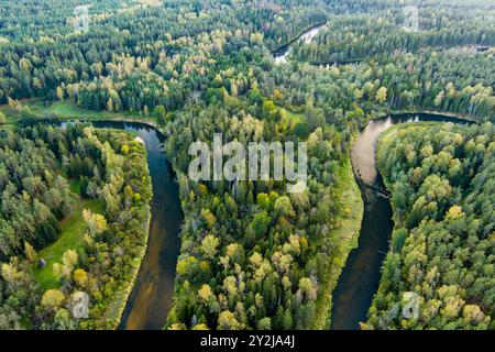 Vue aérienne de la rivière Sventoji serpentant à travers la forêt d'automne. Belle scène forestière aérienne près d'Anyksciai, Lituanie. Arbres verts et rivière sur f ensoleillé Banque D'Images