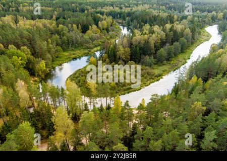 Vue aérienne de la rivière Sventoji serpentant à travers la forêt d'automne. Belle scène forestière aérienne près d'Anyksciai, Lituanie. Arbres verts et rivière sur f ensoleillé Banque D'Images