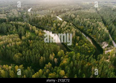 Vue aérienne de la rivière Sventoji serpentant à travers la forêt d'automne. Belle scène forestière aérienne près d'Anyksciai, Lituanie. Arbres verts et rivière sur f ensoleillé Banque D'Images