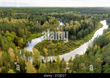 Vue aérienne de la rivière Sventoji serpentant à travers la forêt d'automne. Belle scène forestière aérienne près d'Anyksciai, Lituanie. Arbres verts et rivière sur f ensoleillé Banque D'Images