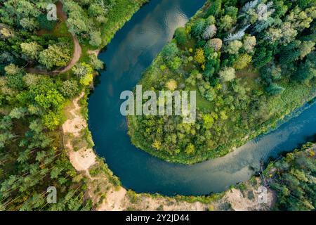 Vue aérienne de la rivière Sventoji serpentant à travers la forêt d'automne. Belle scène forestière aérienne près d'Anyksciai, Lituanie. Arbres verts et rivière sur f ensoleillé Banque D'Images