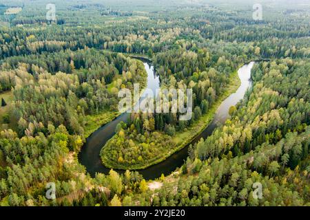 Vue aérienne de la rivière Sventoji serpentant à travers la forêt d'automne. Belle scène forestière aérienne près d'Anyksciai, Lituanie. Arbres verts et rivière sur f ensoleillé Banque D'Images