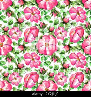Motif aquarelle sans couture avec des fleurs roses sauvages roses dessinées à la main pour votre impression et votre conception textile. fleurs et bourgeons de rase, feuilles de rose musquée vertes sur un Banque D'Images