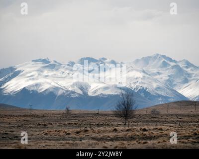 Montagnes couvertes de neige en arrière-plan avec des pâturages secs en premier plan sur l'île du Sud Nouvelle-Zélande, Aotearoa. Banque D'Images