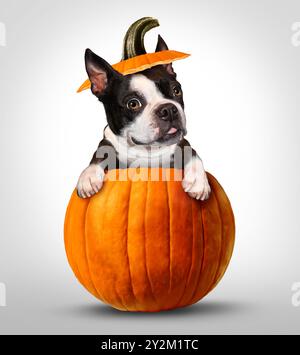 Halloween Pumpkin Dog et Jack O lanterne sculpté citrouilles comme un festival d'automne drôle et célébration de la saison d'automne comme une adoption d'animal de compagnie et vétérinaire ou Banque D'Images