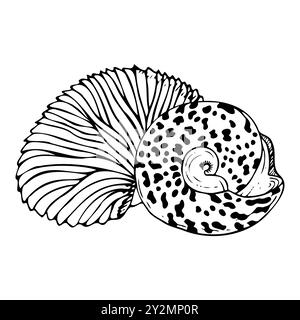 Ligne ronde trochus escargot spirale coquillage avec illustration vectorielle noire blanche Nautilus Egcase. Mollusque océanique tropical Illustration de Vecteur