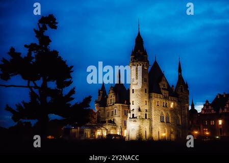 Vieux château polonais dans le village de moszna dans les lumières de la nuit Banque D'Images