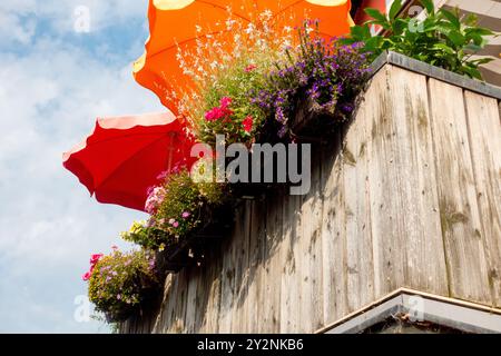 Balcon en bois orné de fleurs colorées en pots, parapluies rouge-orange sous un ciel bleu Nurnberg Allemagne Banque D'Images