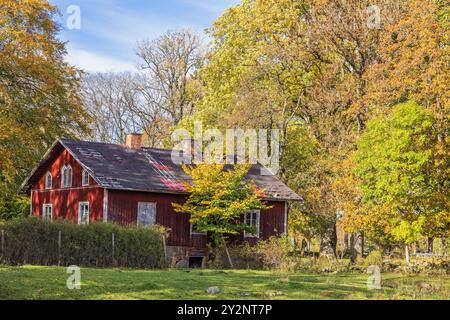Ancien cottage déserté dans une forêt de feuillus à l'automne Banque D'Images