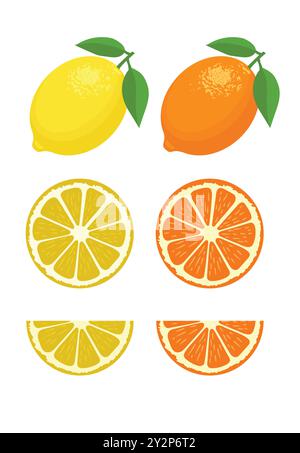 Ensemble de tranche de citron fruit de citron et feuille sur fond blanc illustration vectorielle. Illustration de Vecteur