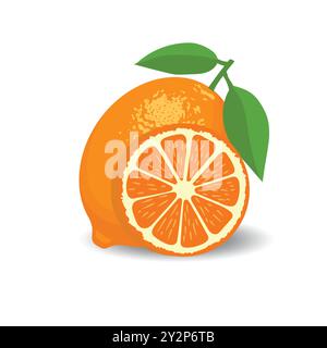 Agrumes frais entiers et demi illustration vectorielle Illustration de Vecteur